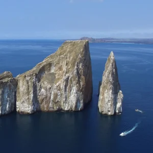 Classic Galapagos