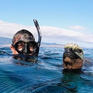 Galapagos History and Adventure