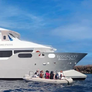 M/C EcoGalaxy